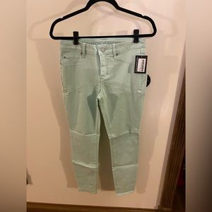 Articles of Society Mint Green Skinny Jeans